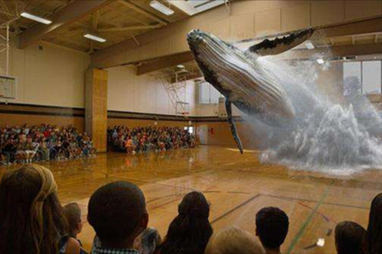 1470040059590697.jpg 图片关键词